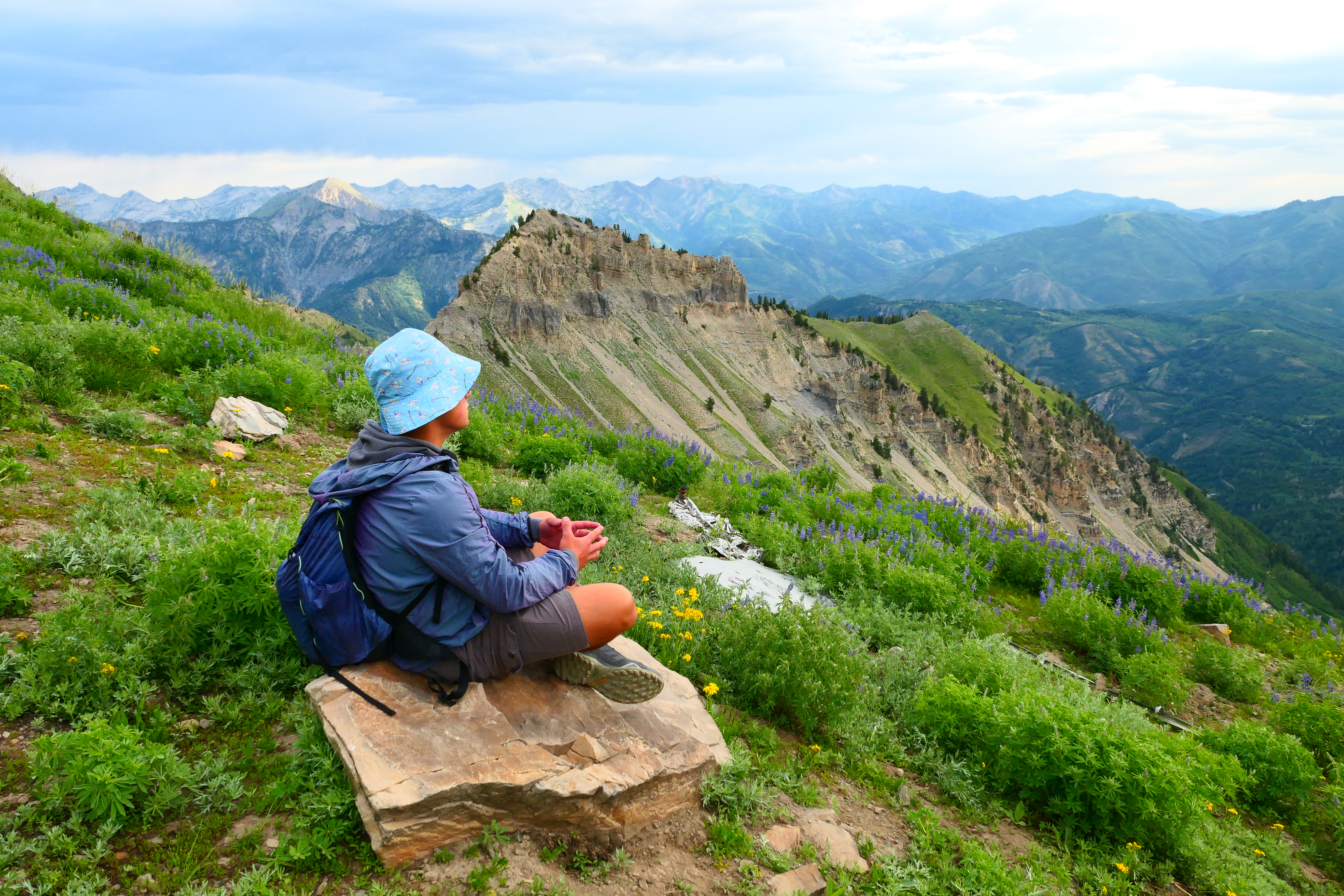 City street with food stalls